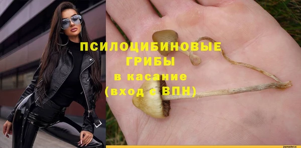 гидропоника Балахна