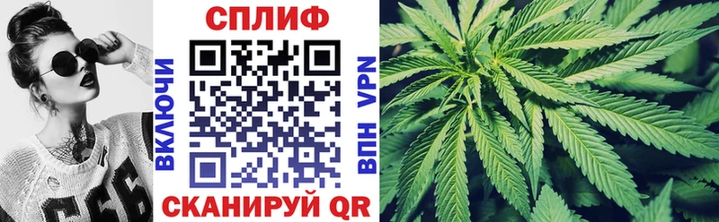 цена наркотик  кракен ТОР  Конопля индика  Новомичуринск 